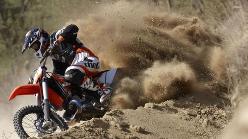 Product picture 1999-2003 KTM 125/200 Engine Workshop Repair Service Manual